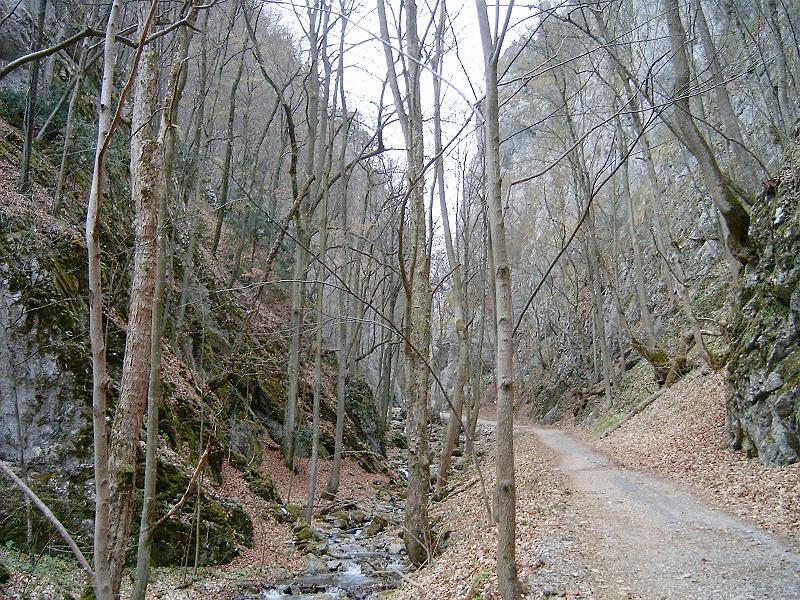 2012.04.14. 0078.jpg